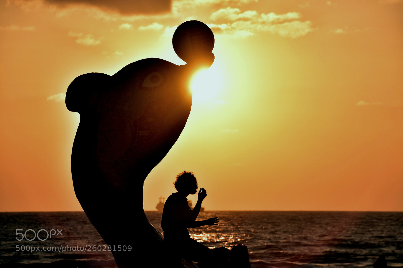 Nikon D5500 sample photo. Suns photography