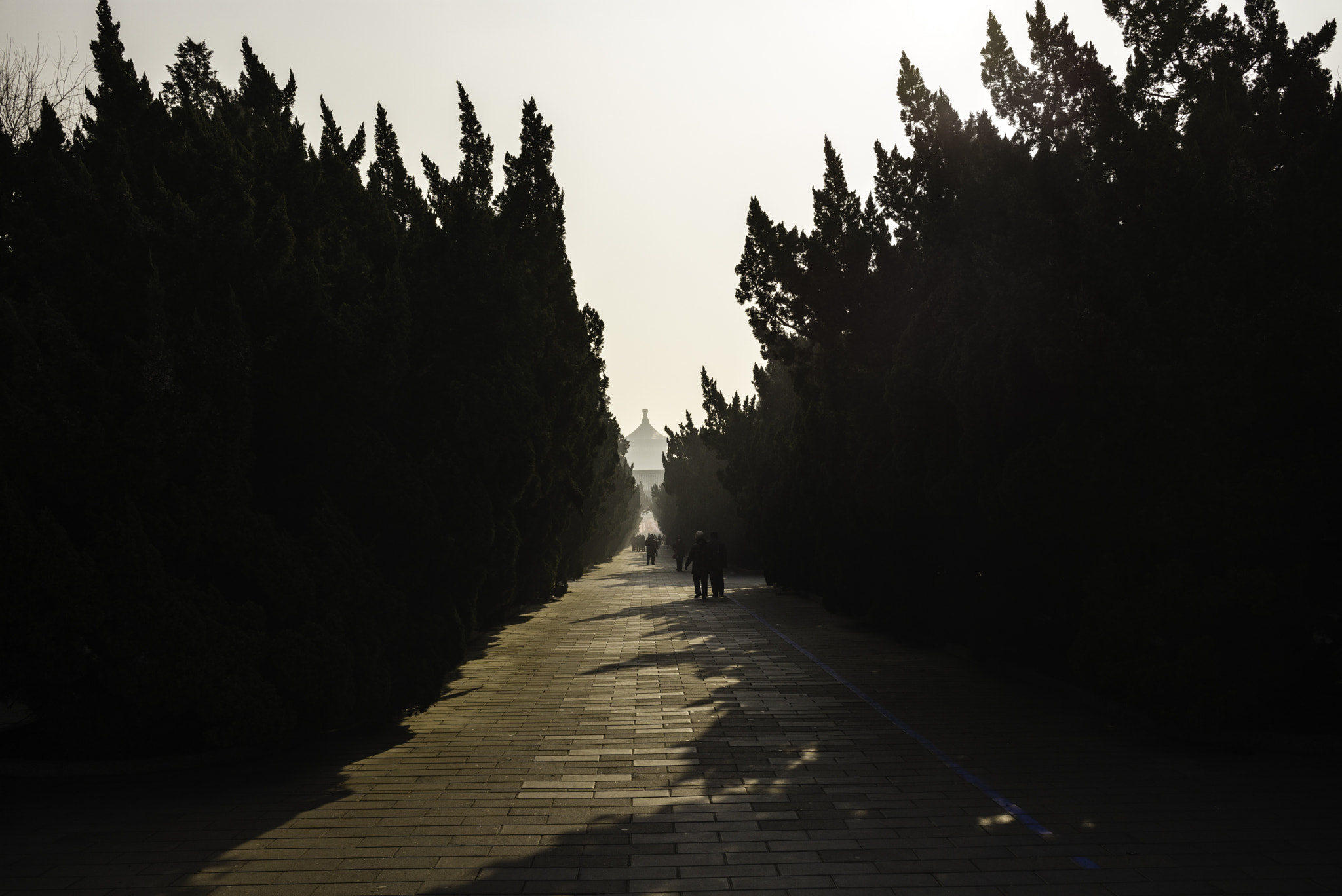 Leica M (Typ 240) sample photo. Lo photography