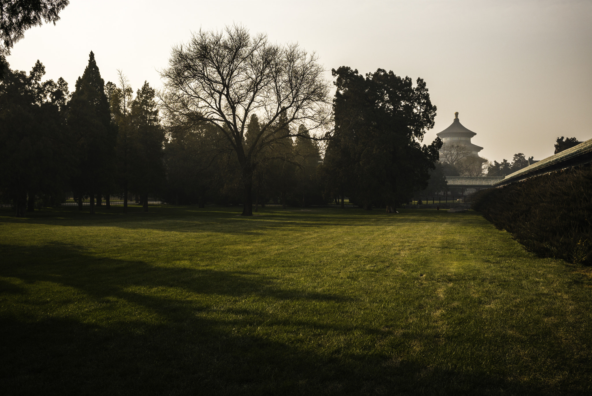 Leica M (Typ 240) sample photo. Lo photography