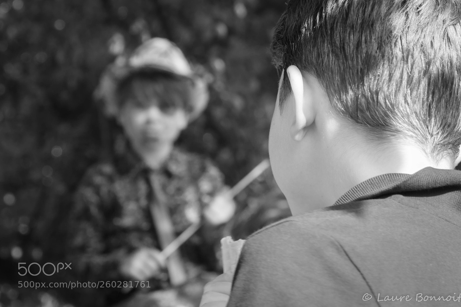 Canon EOS 70D sample photo. Dans l’arbre  photography