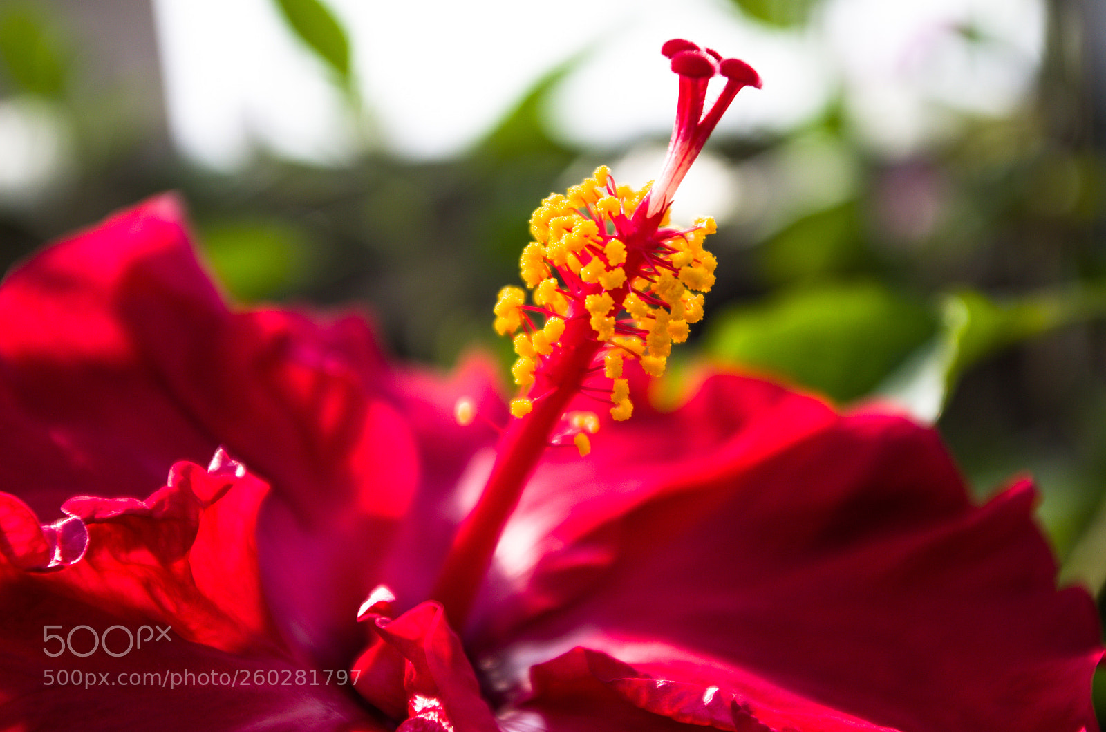 Pentax K-30 sample photo. Untitled photography
