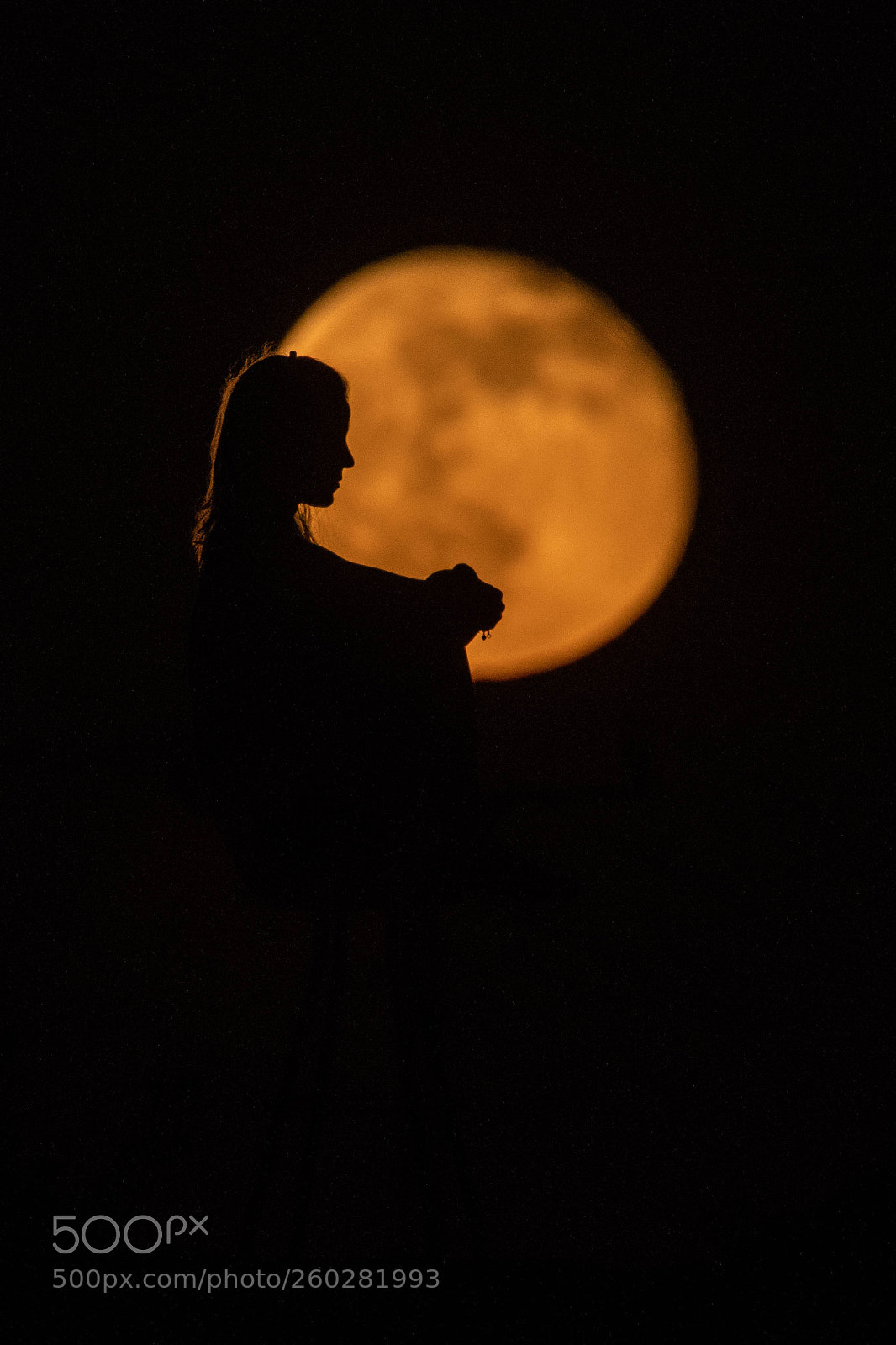 Nikon D850 sample photo. Lonesome tonight photography