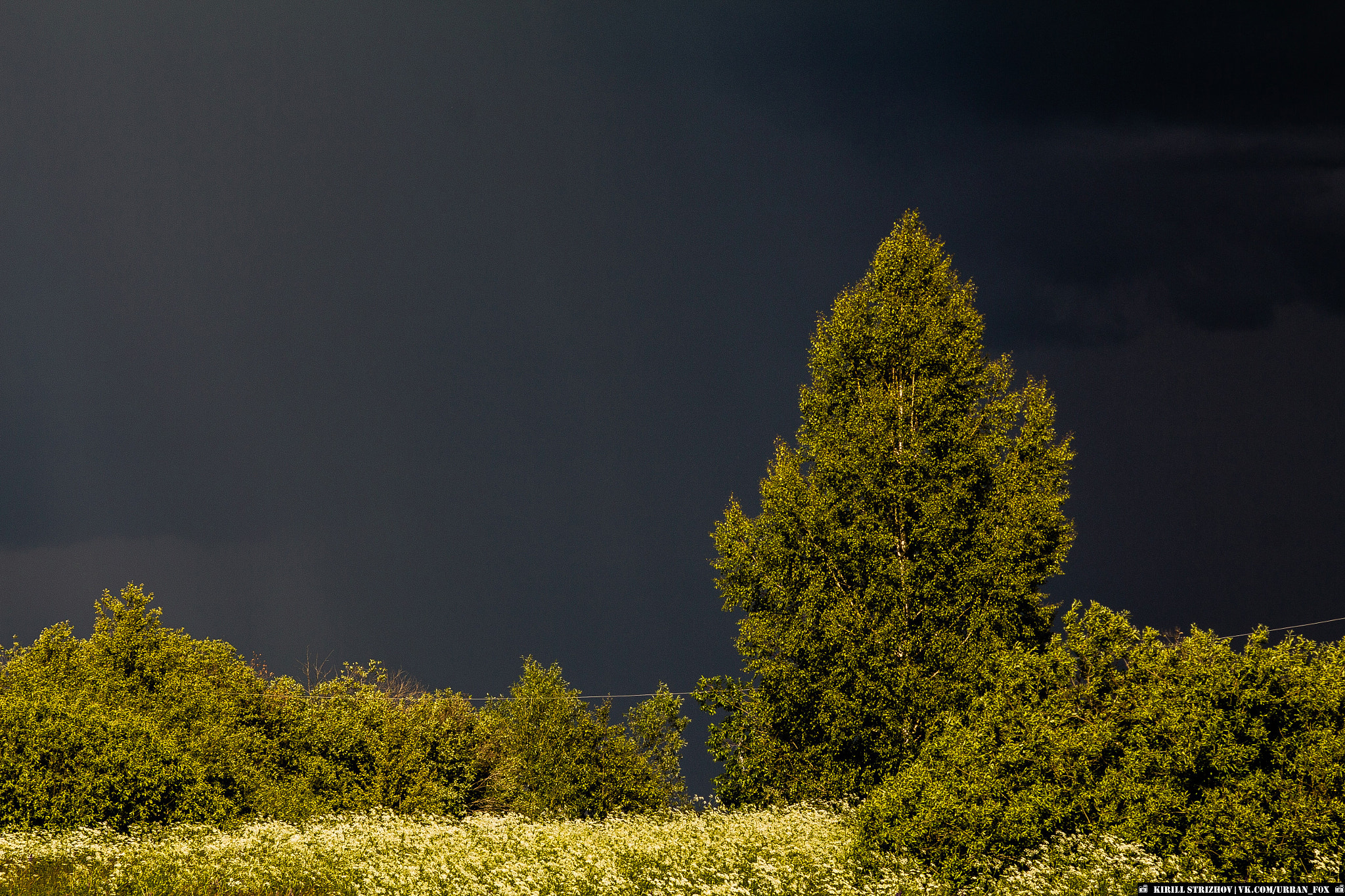 Canon EOS 650D (EOS Rebel T4i / EOS Kiss X6i) sample photo. Before the storm photography