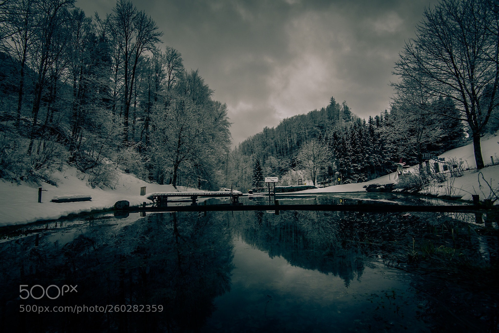 Nikon D750 sample photo. Winter mood photography
