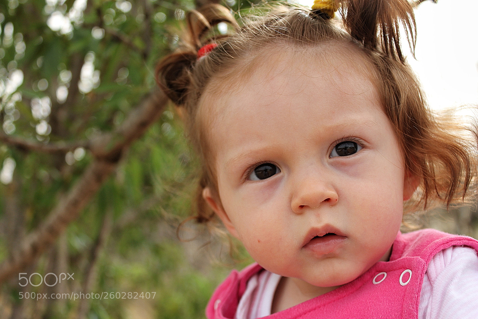 Canon EOS 500D (EOS Rebel T1i / EOS Kiss X3) sample photo. Snapseed photography