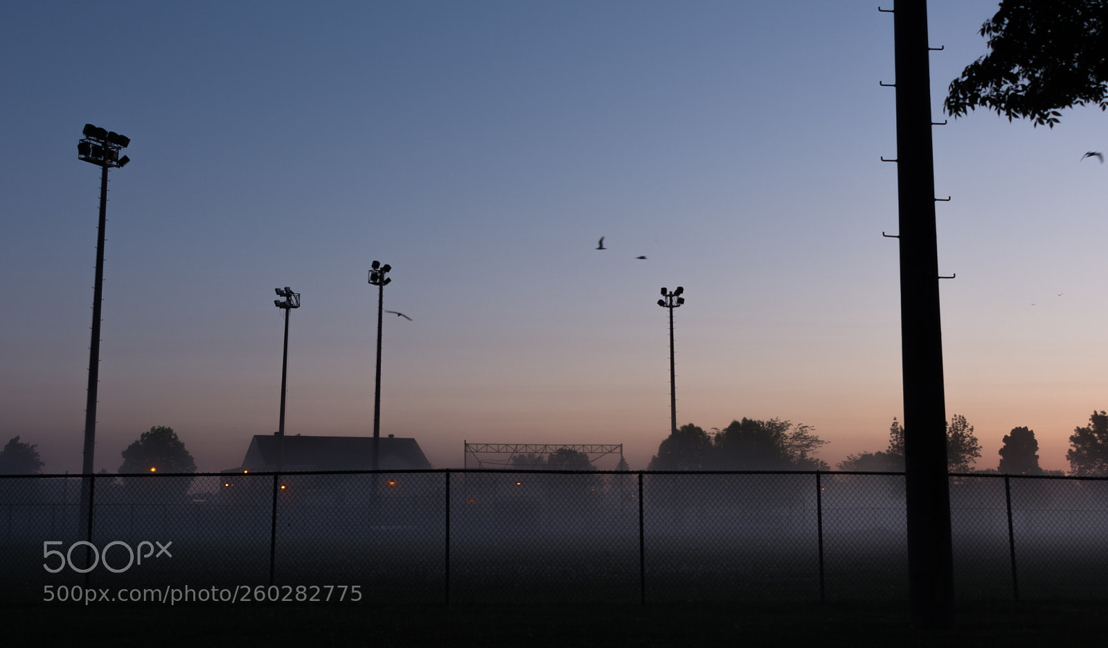 Nikon D7100 sample photo. Baseball field foggy morning photography