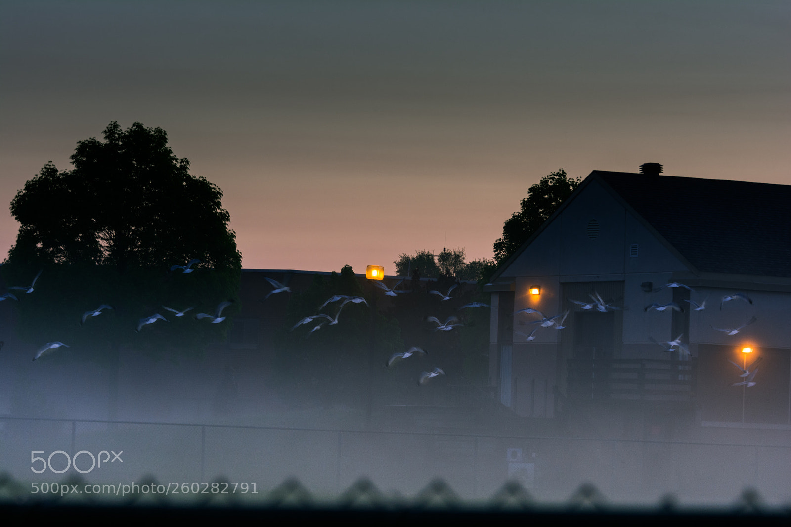 Nikon D7100 sample photo. Baseball field foggy morning photography