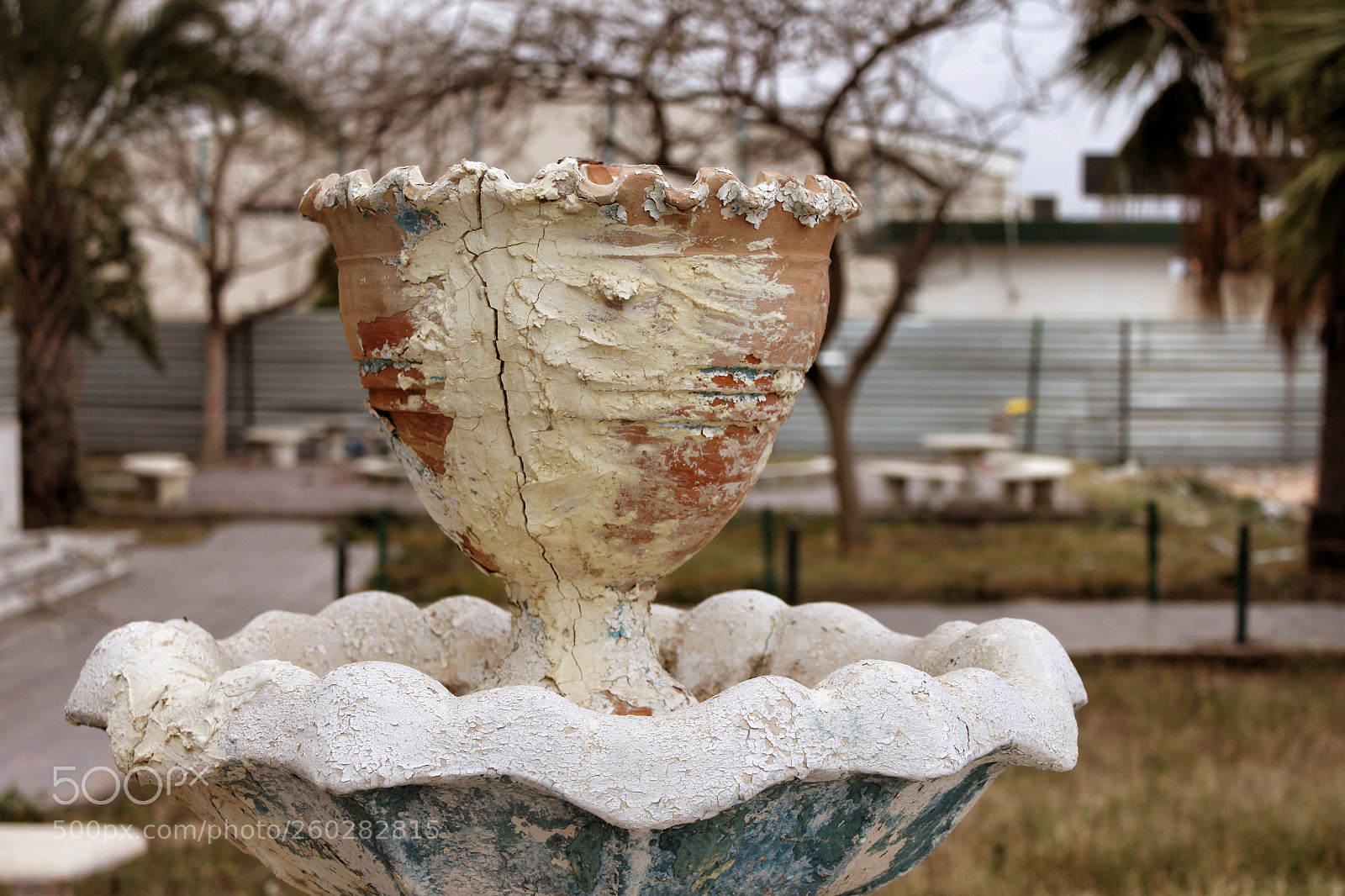 Canon EOS 500D (EOS Rebel T1i / EOS Kiss X3) sample photo. Snapseed photography