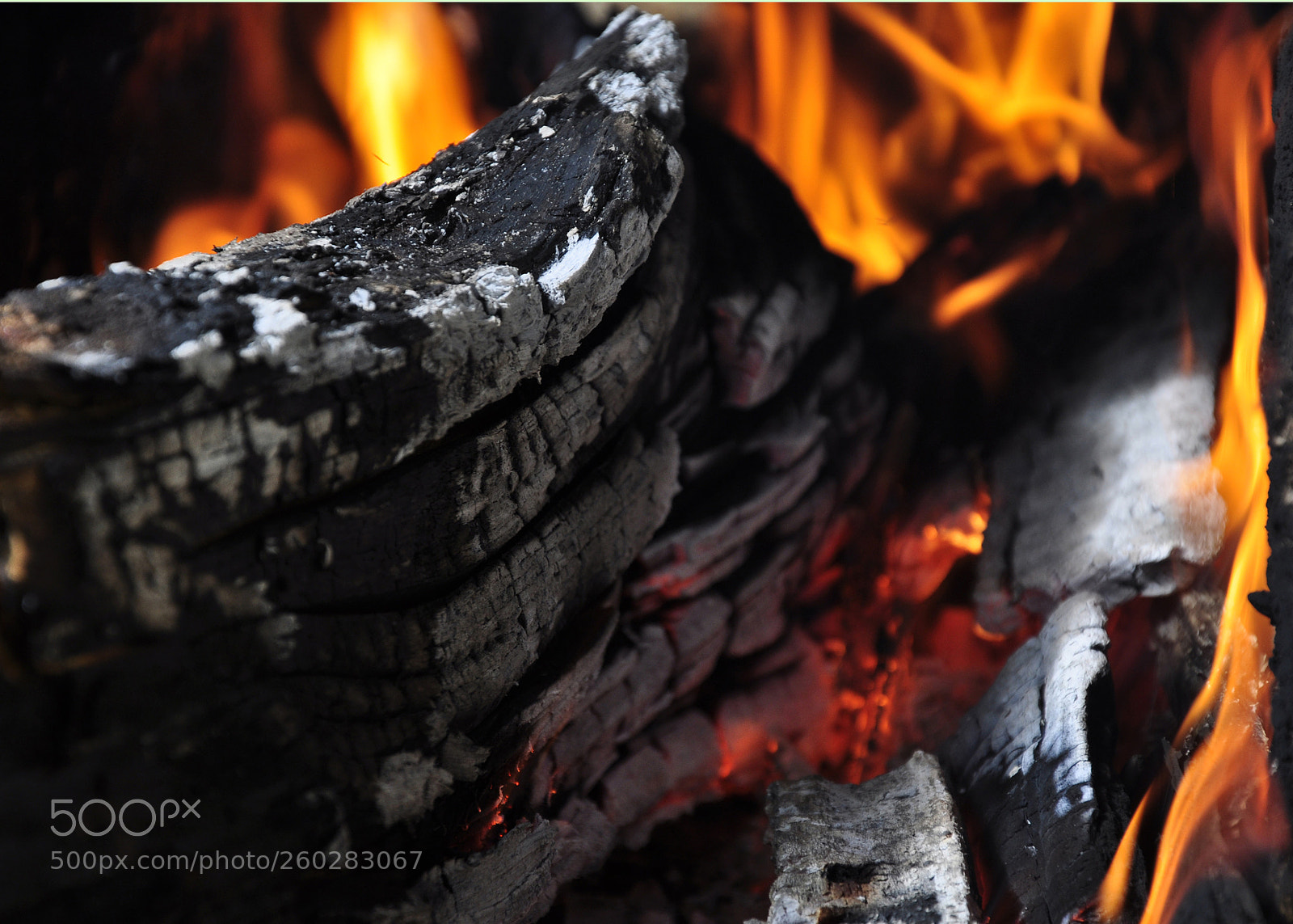 Nikon D90 sample photo. Untitled photography