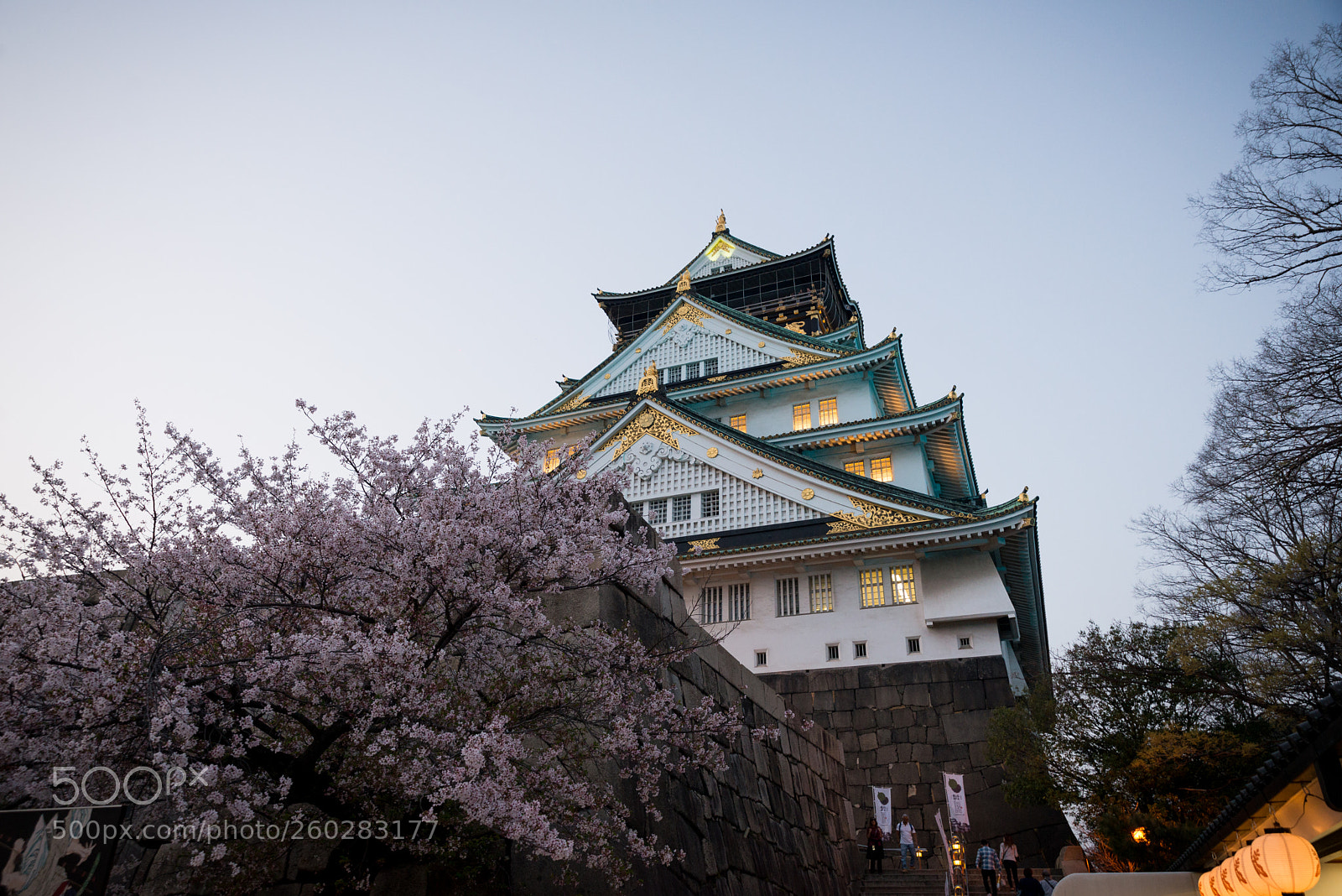 Nikon D610 sample photo. Osaka castle photography