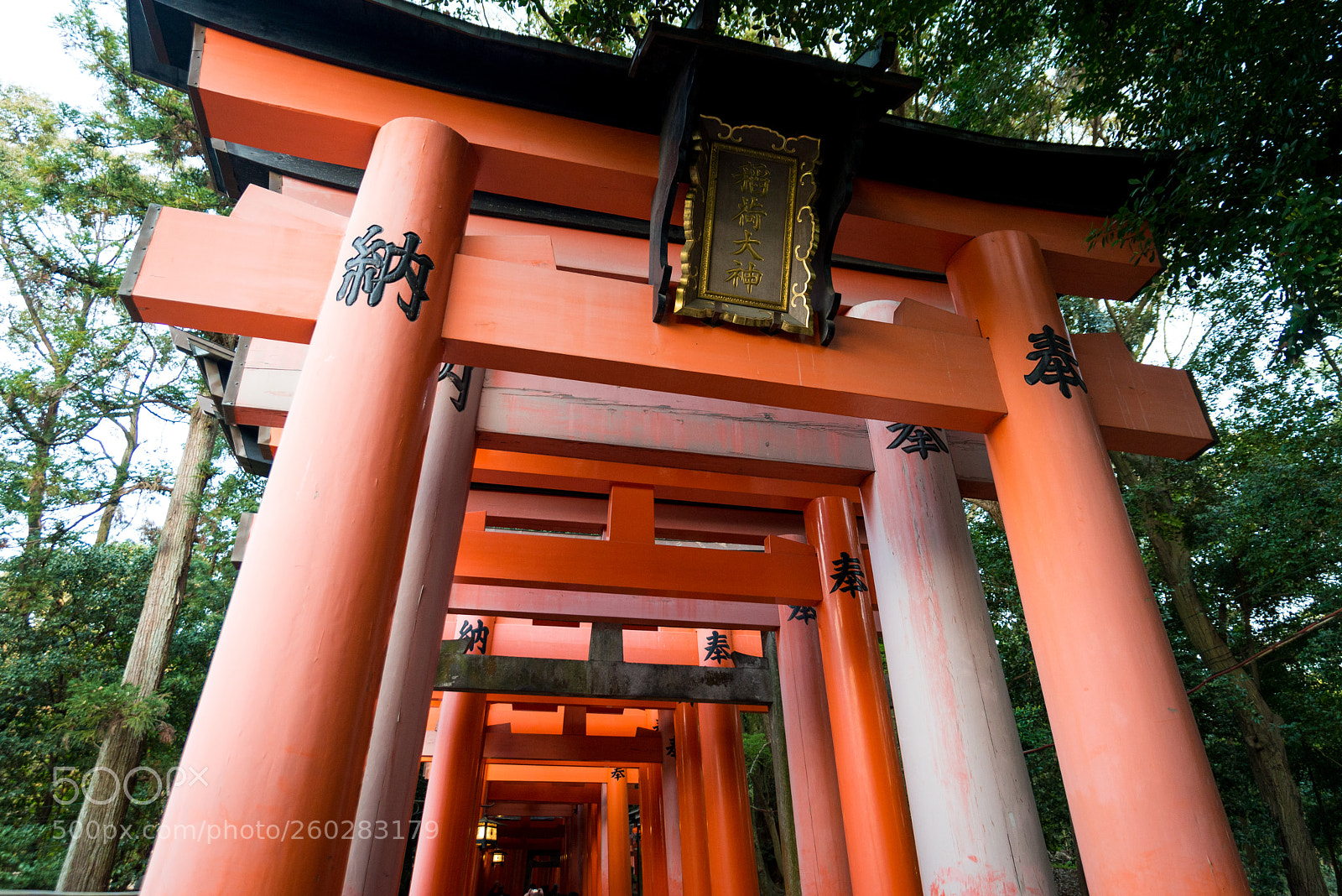 Nikon D610 sample photo. Kyoto fox shrine 2 photography