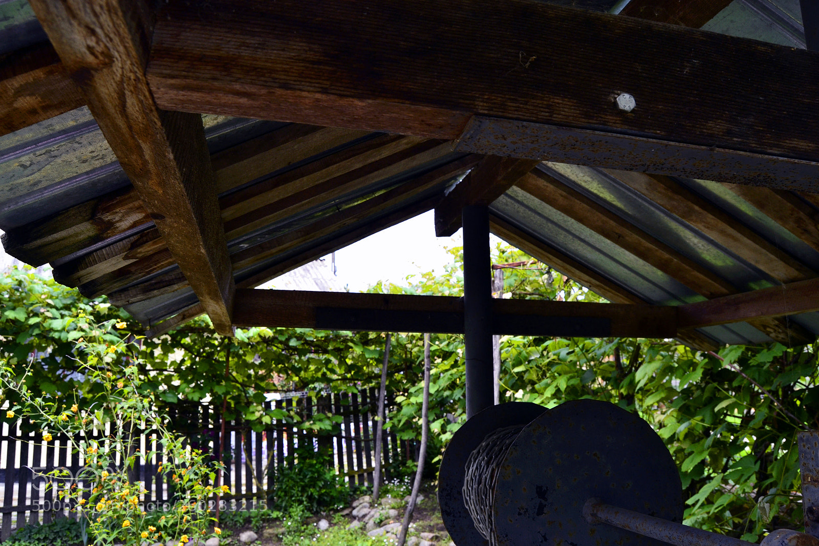 Nikon D3100 sample photo. Woody photography