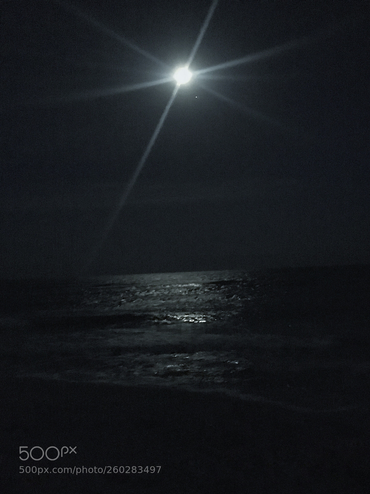 Apple iPhone 6s sample photo. Untitled photography