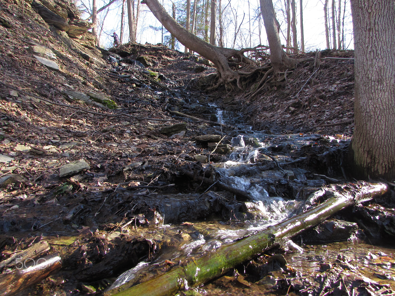 Canon PowerShot SX510 HS sample photo. Img photography