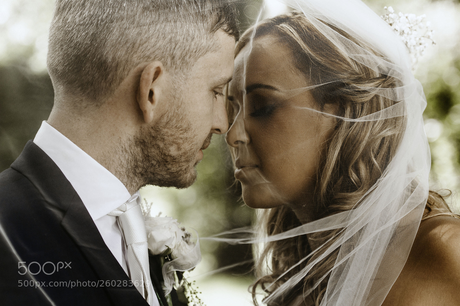 Nikon D7100 sample photo. Near kiss photography