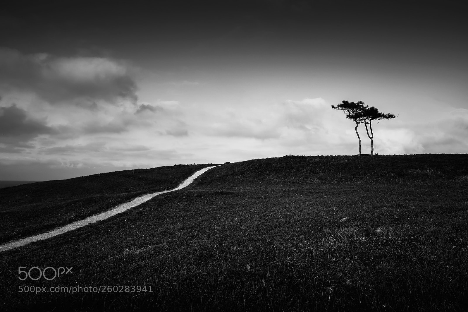 Fujifilm X-T2 sample photo. Nature bnw photography