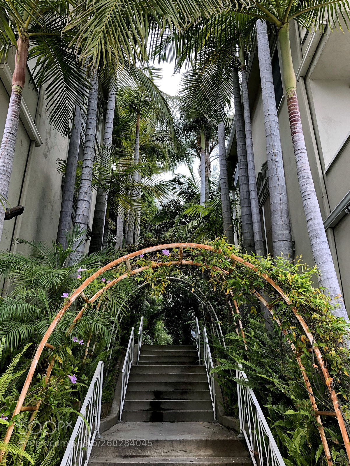 Apple iPhone X sample photo. Tropical staircase  photography