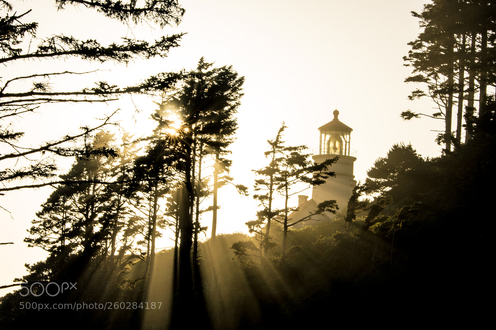 Nikon D7200 sample photo. Heceta lighthouse photography