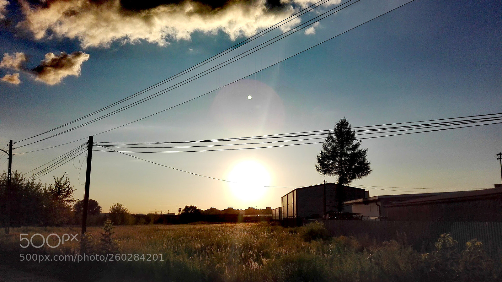 HUAWEI P8 Lite sample photo. Untitled photography