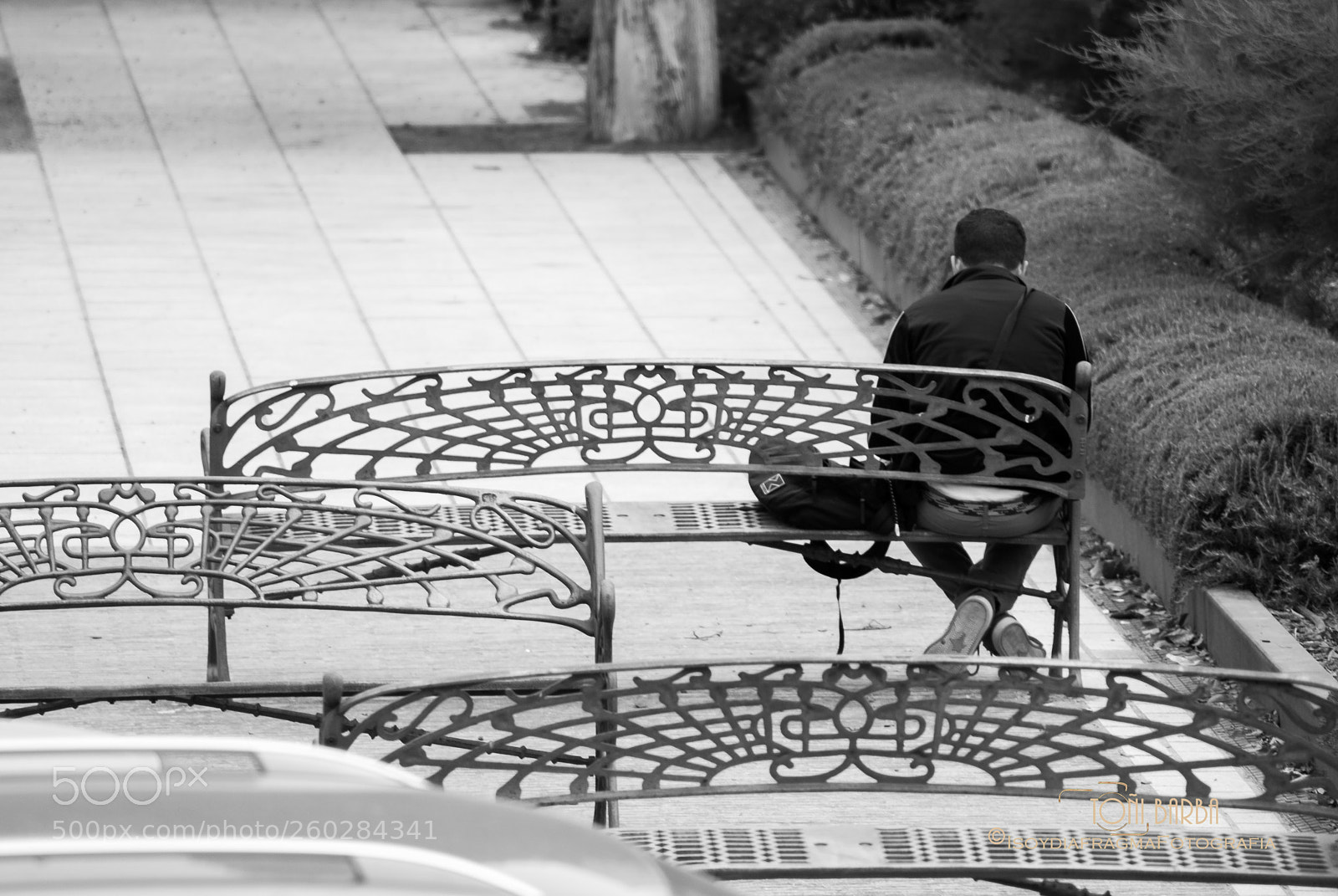 Nikon D80 sample photo. Untitled photography