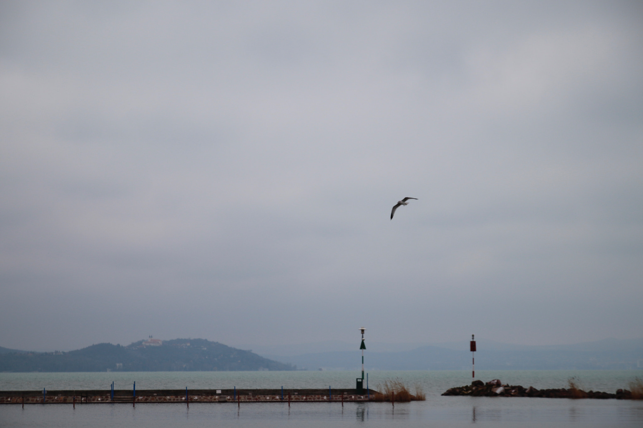 Canon EOS 800D (EOS Rebel T7i / EOS Kiss X9i) sample photo. Cold and foggy photography
