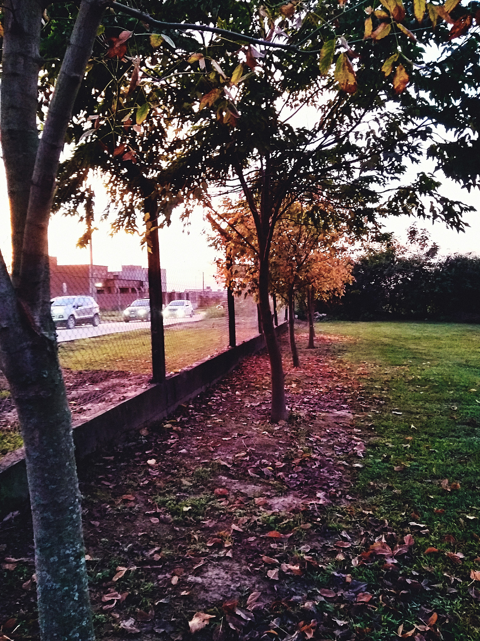 Motorola Moto G (5S) Plus sample photo. Autumn steet photography
