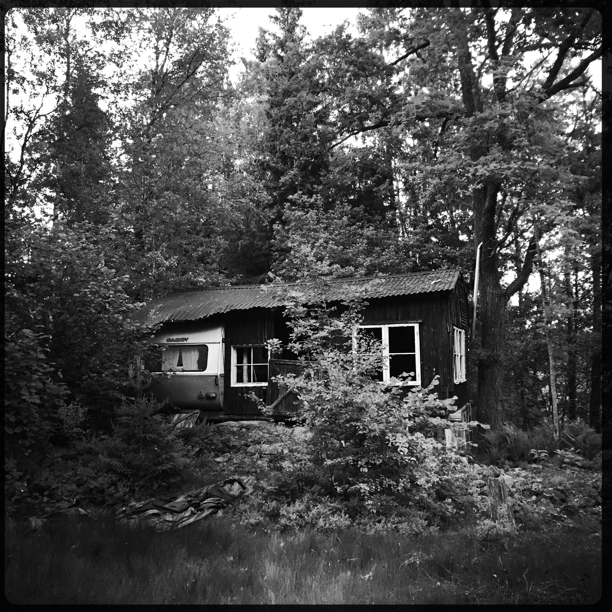 Hipstamatic 344 sample photo. Cabin in the wood photography