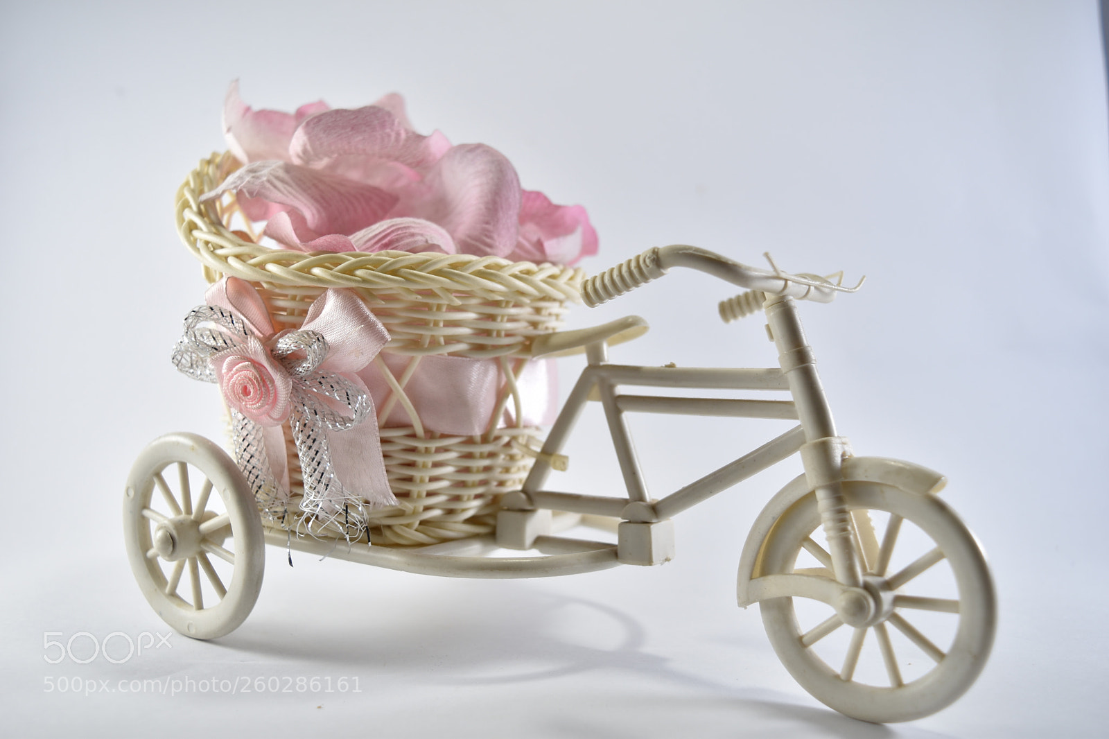 Nikon D5500 sample photo. Dsc photography