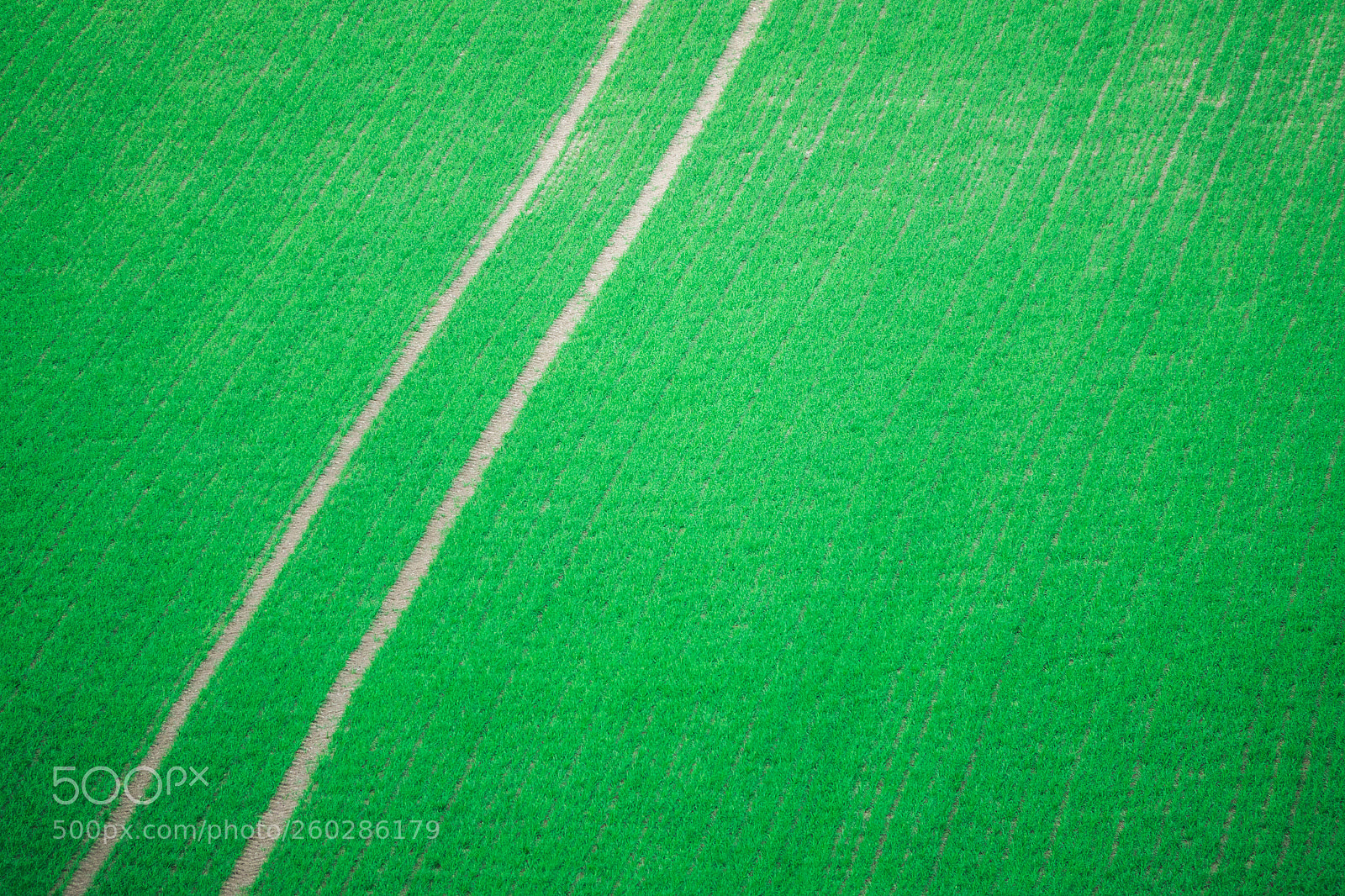 Sony Cyber-shot DSC-RX10 III sample photo. Tractor tracks through crops photography
