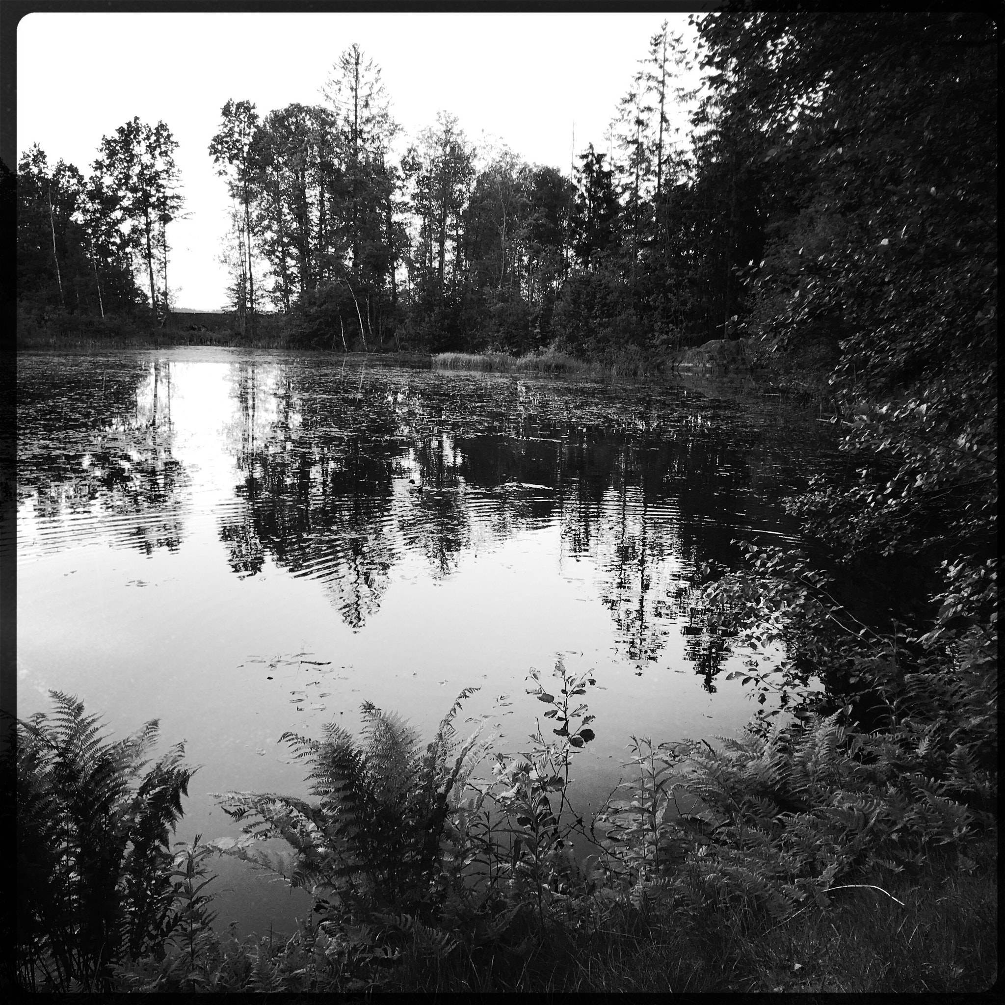 Hipstamatic 344 sample photo. Pond photography