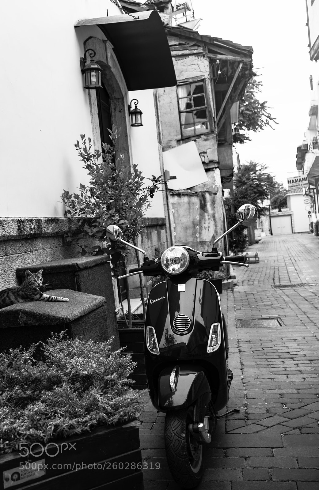 Sony a7 sample photo. We'll be waiting... photography