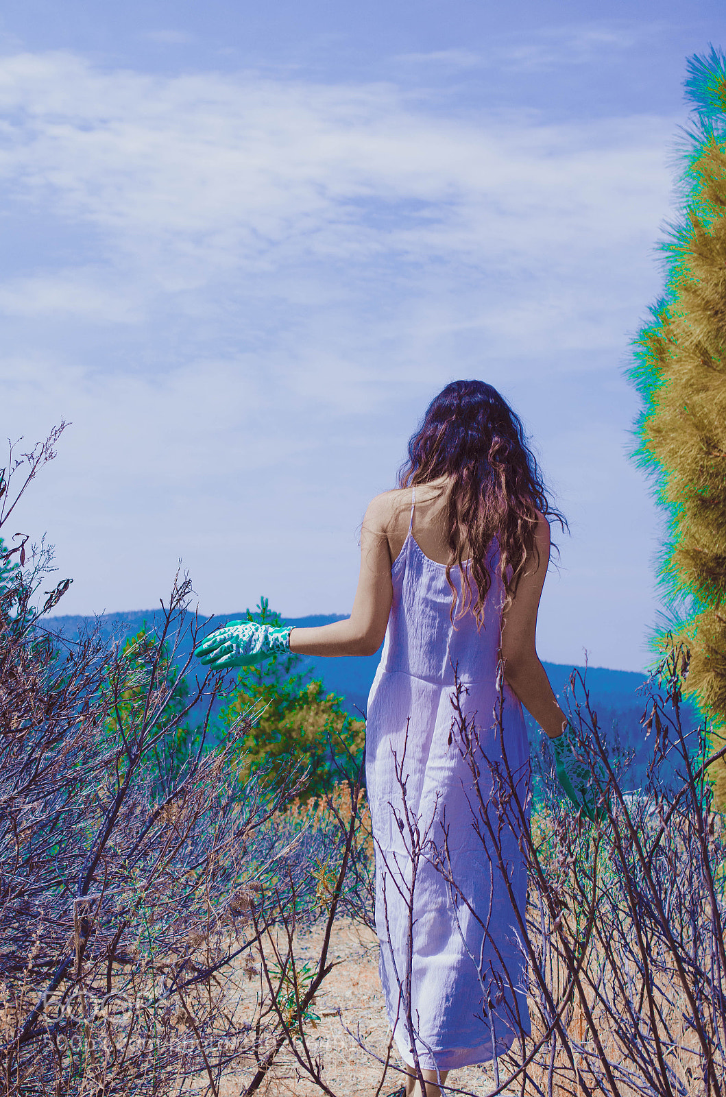 Nikon D5100 sample photo. Climb, katiana photography