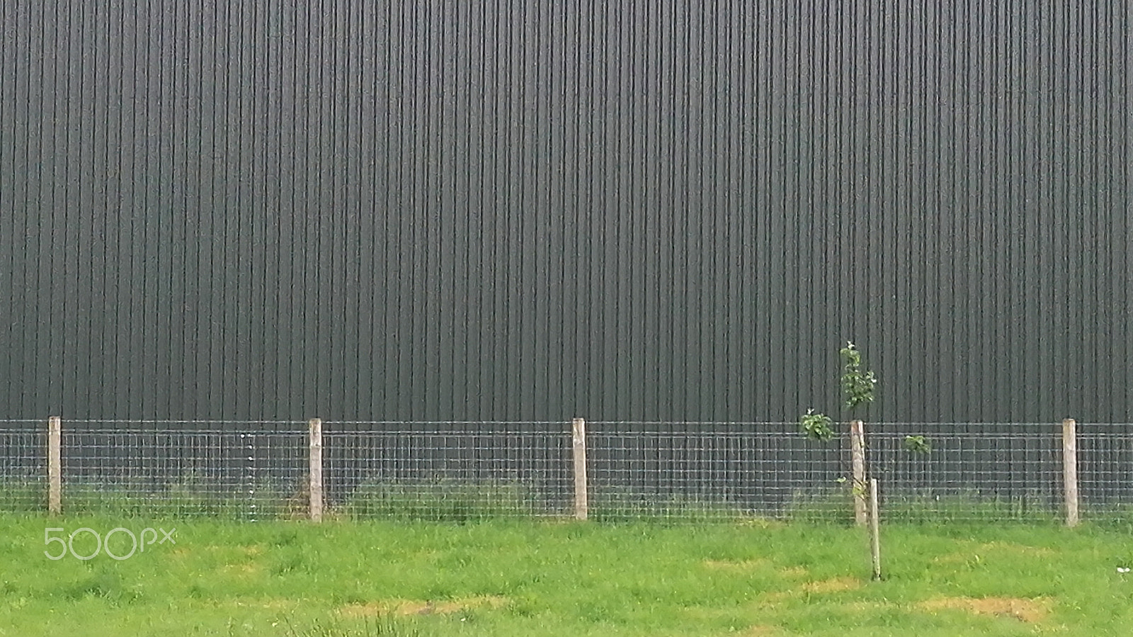 HUAWEI Honor 7 sample photo. Fence photography