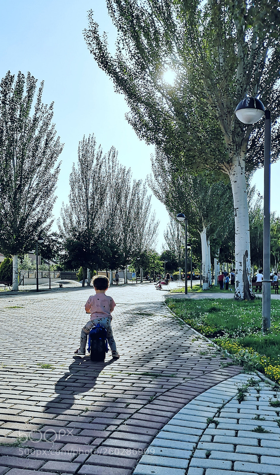 HUAWEI P20 sample photo. Untitled photography