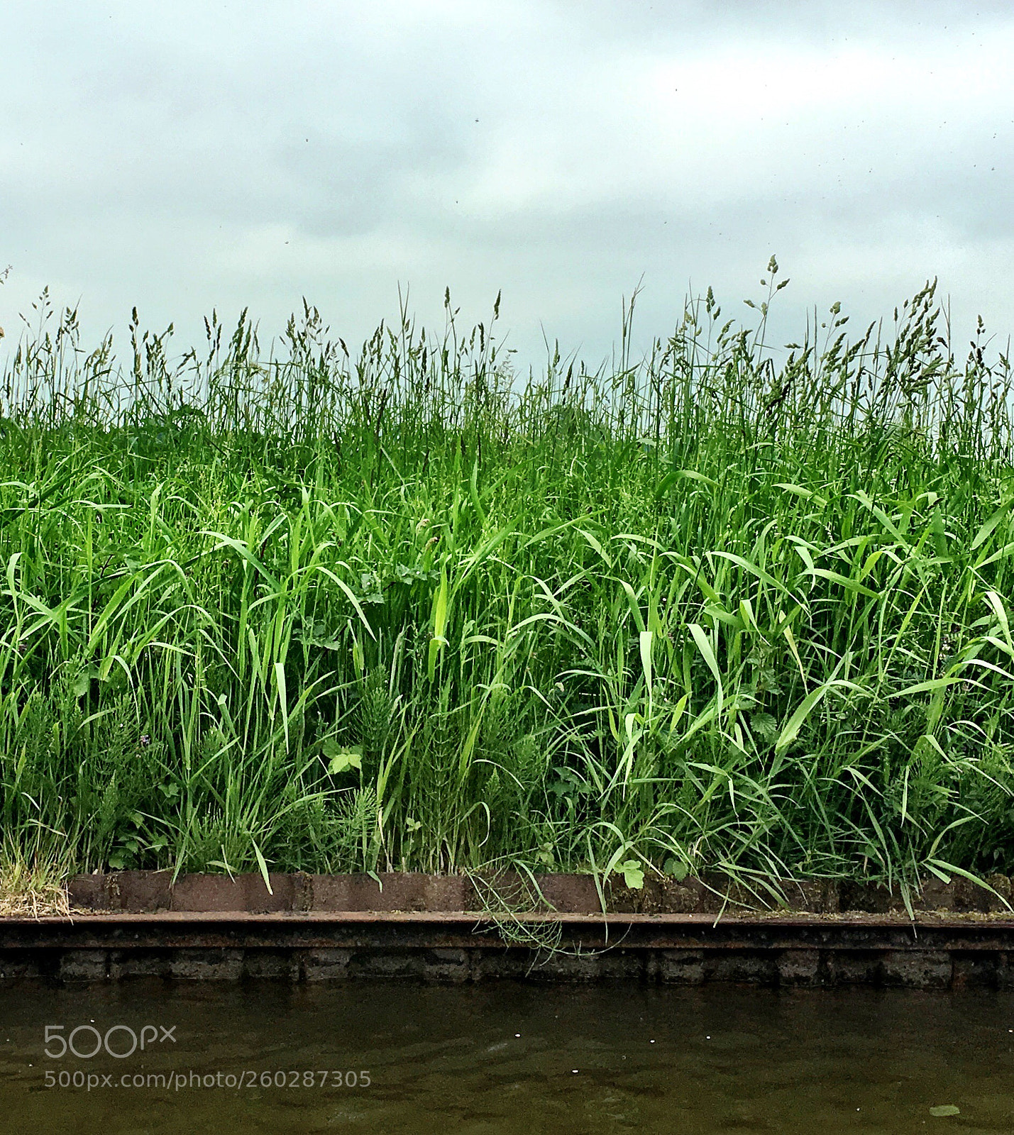 Apple iPhone 6s sample photo. The verge ii photography