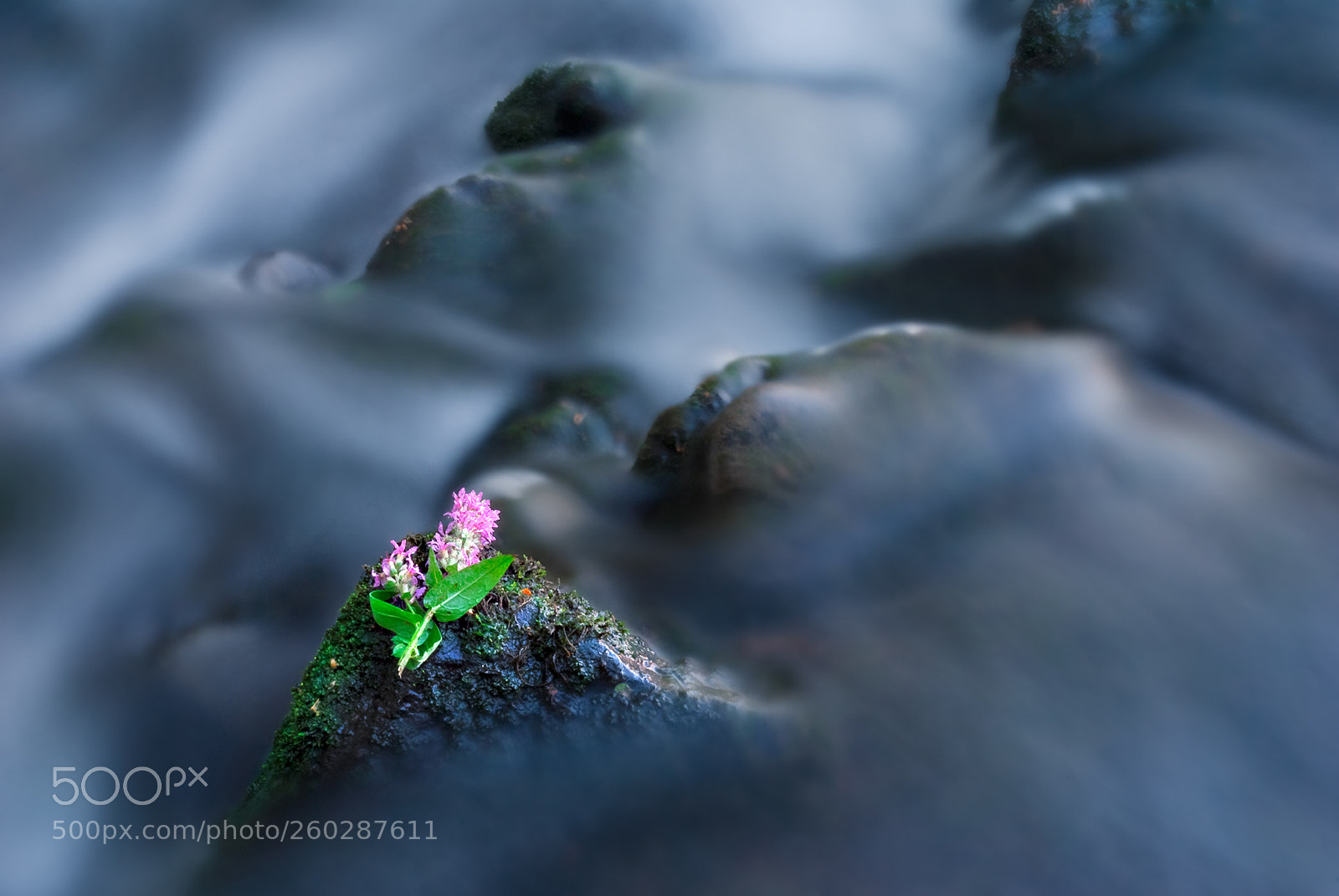 Nikon D80 sample photo. Rocks in the river photography