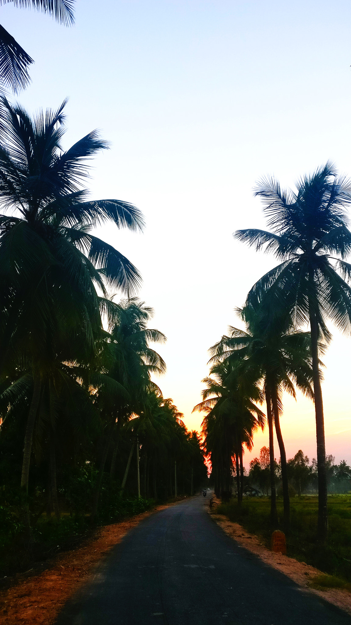 OnePlus A3003 sample photo