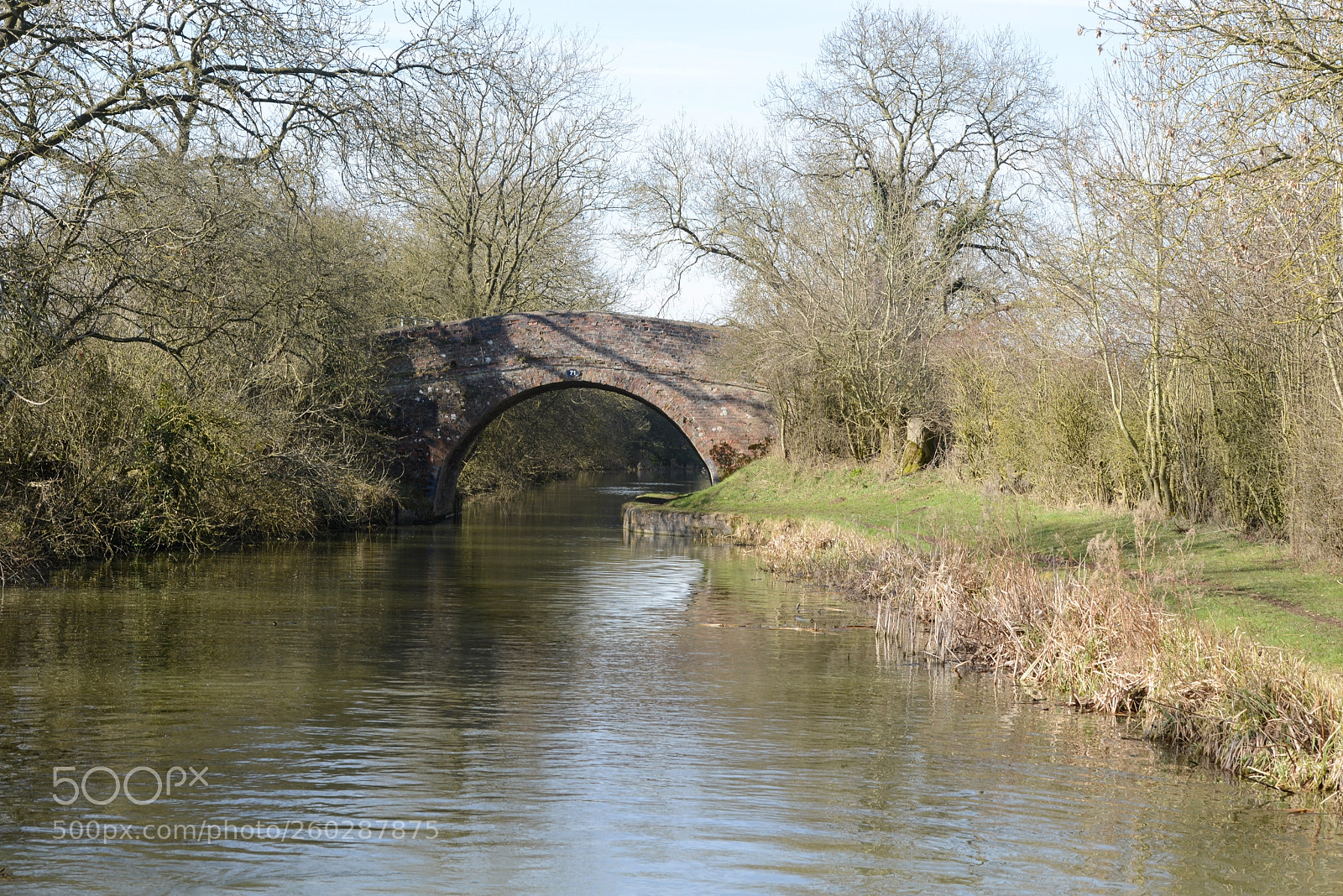 Nikon D800 sample photo. Bridge photography