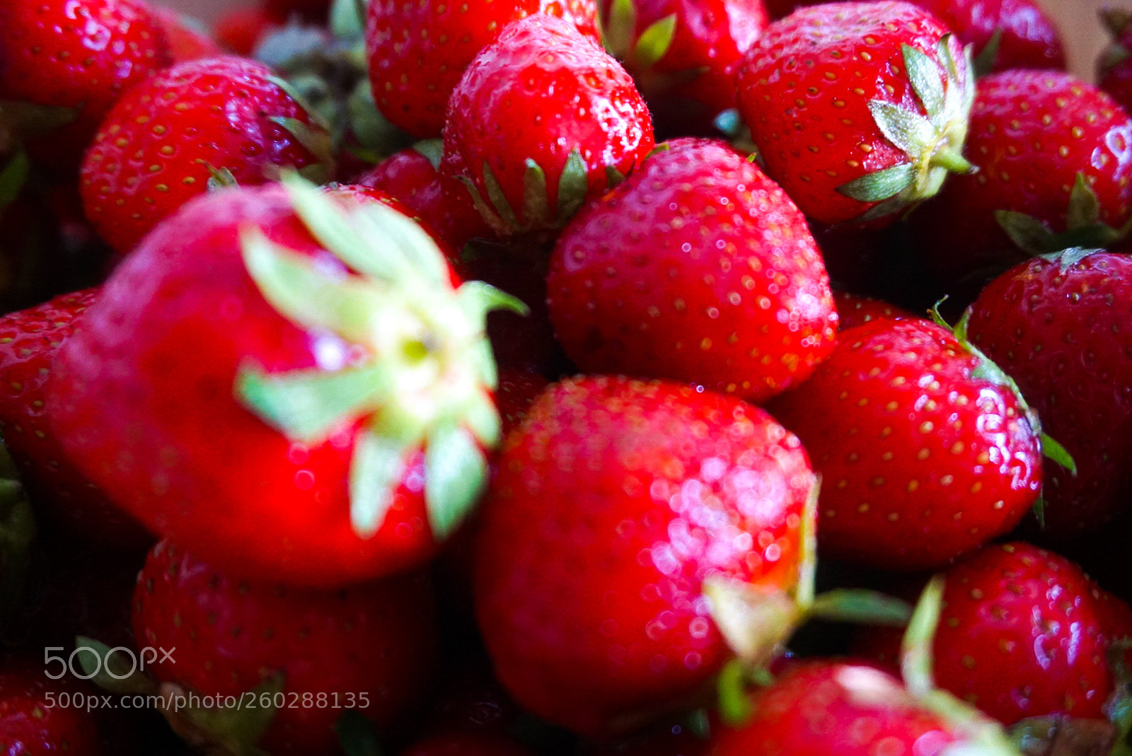 Sony a6000 sample photo. Strawberry photography
