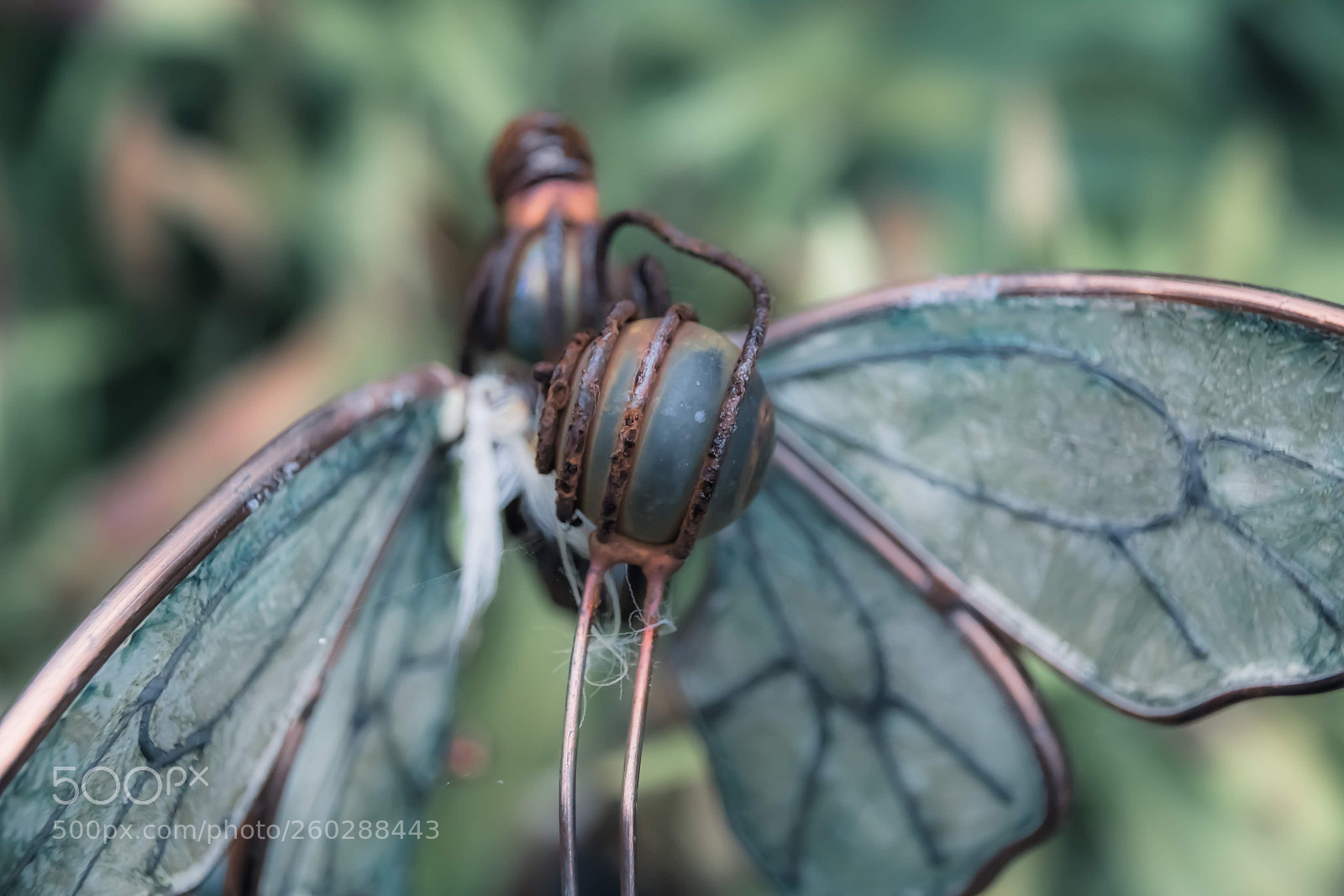Canon EOS 750D (EOS Rebel T6i / EOS Kiss X8i) sample photo. Steeldragon photography