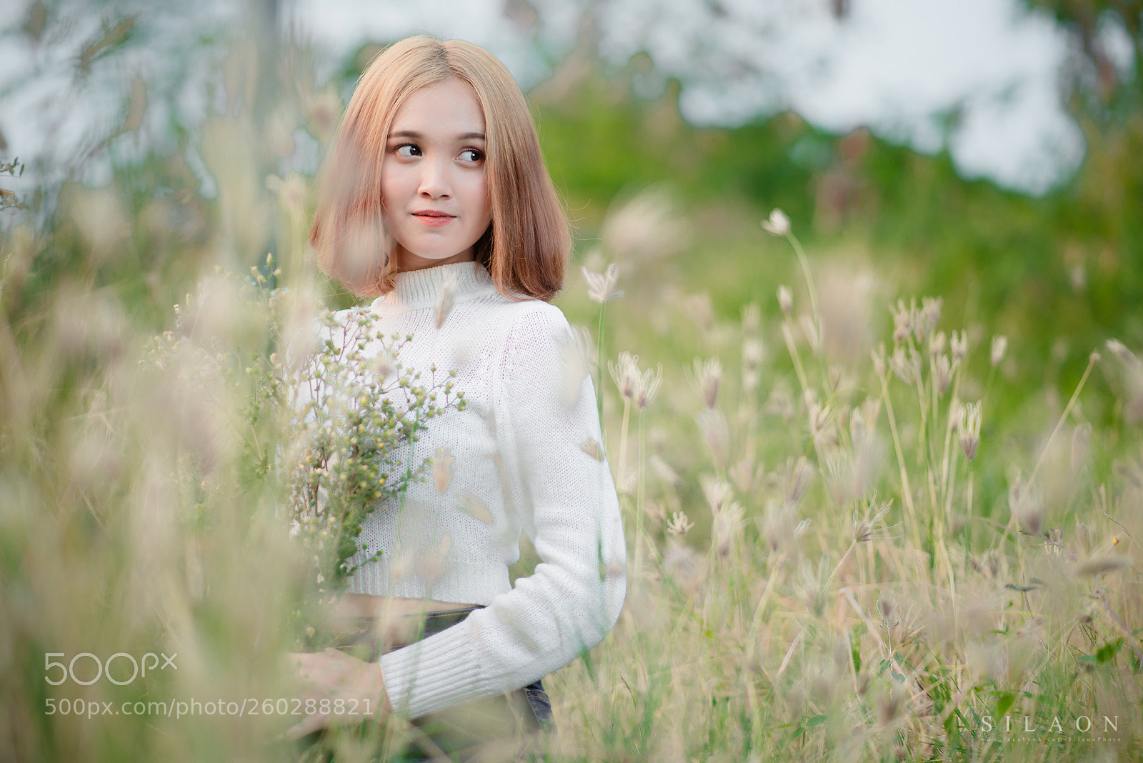 Nikon D800 sample photo. Vit photography