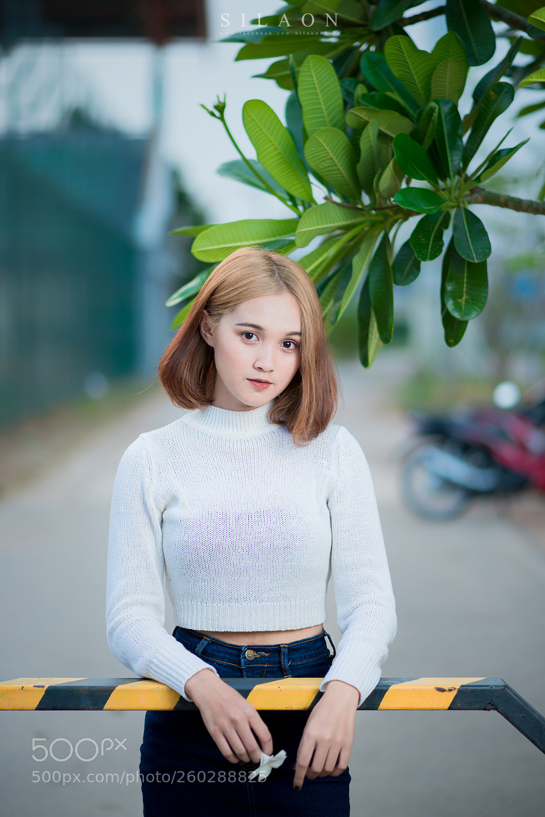 Nikon D800 sample photo. Vit photography
