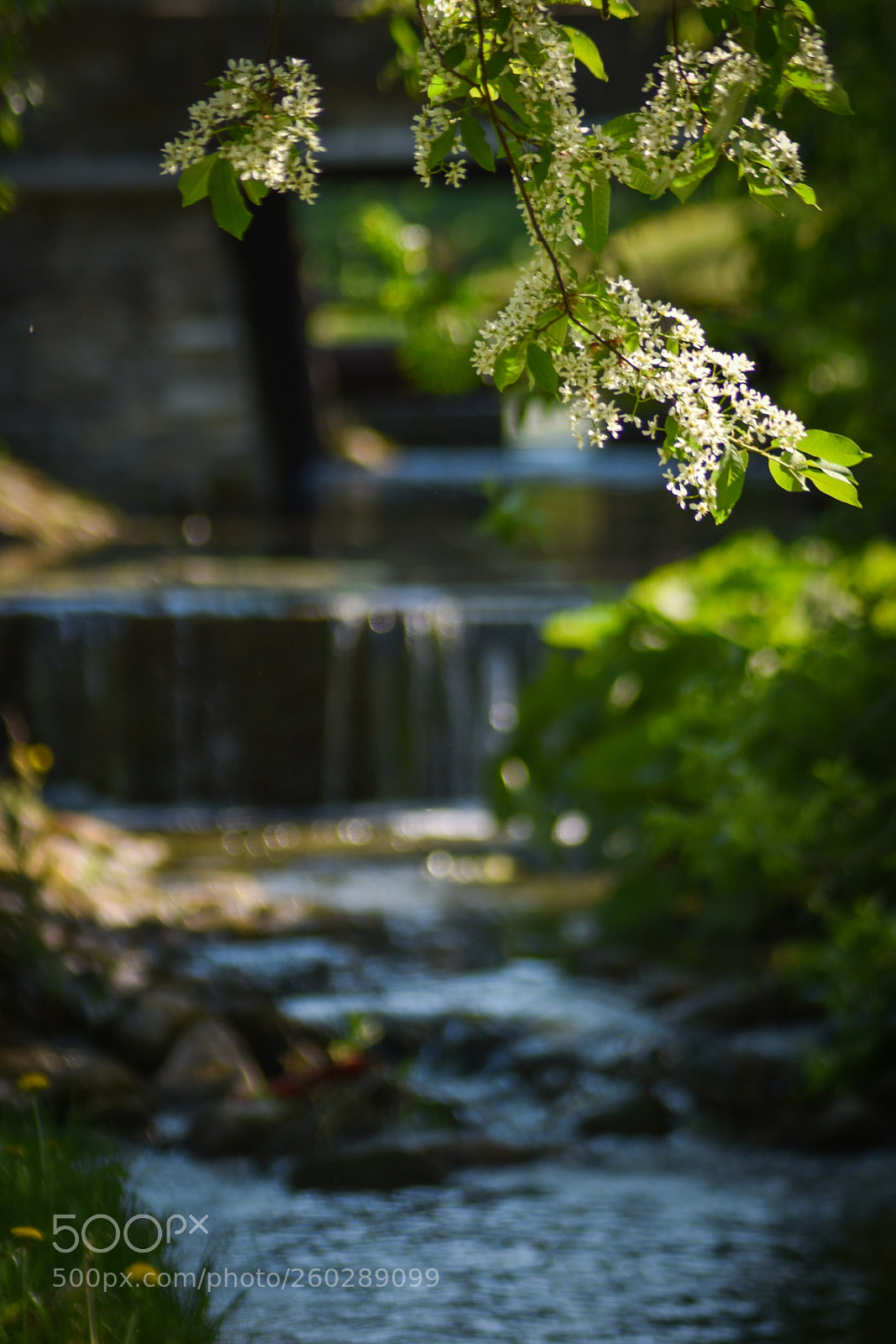 Nikon D5500 sample photo. Untitled photography