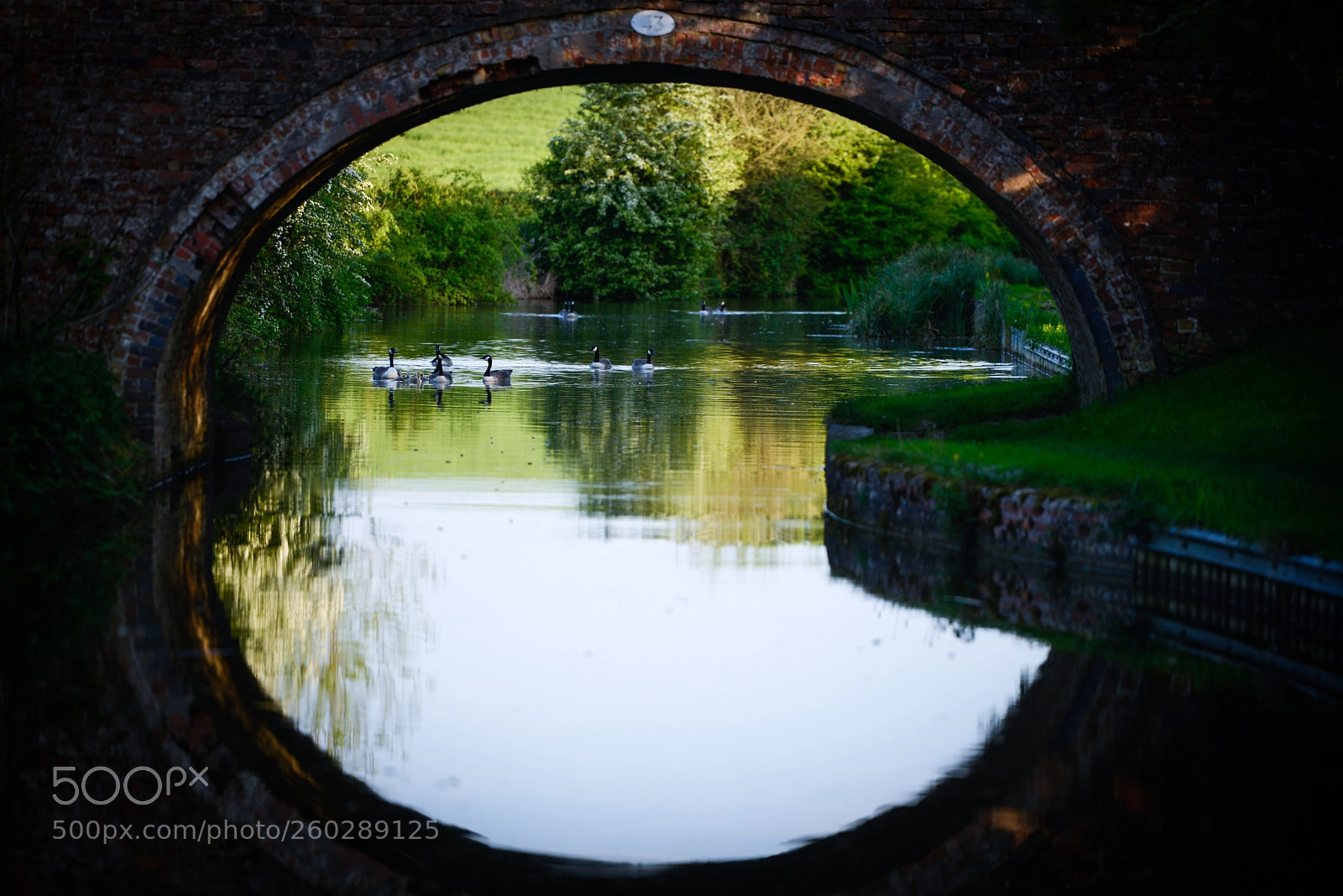 Nikon D800 sample photo. Bridge photography