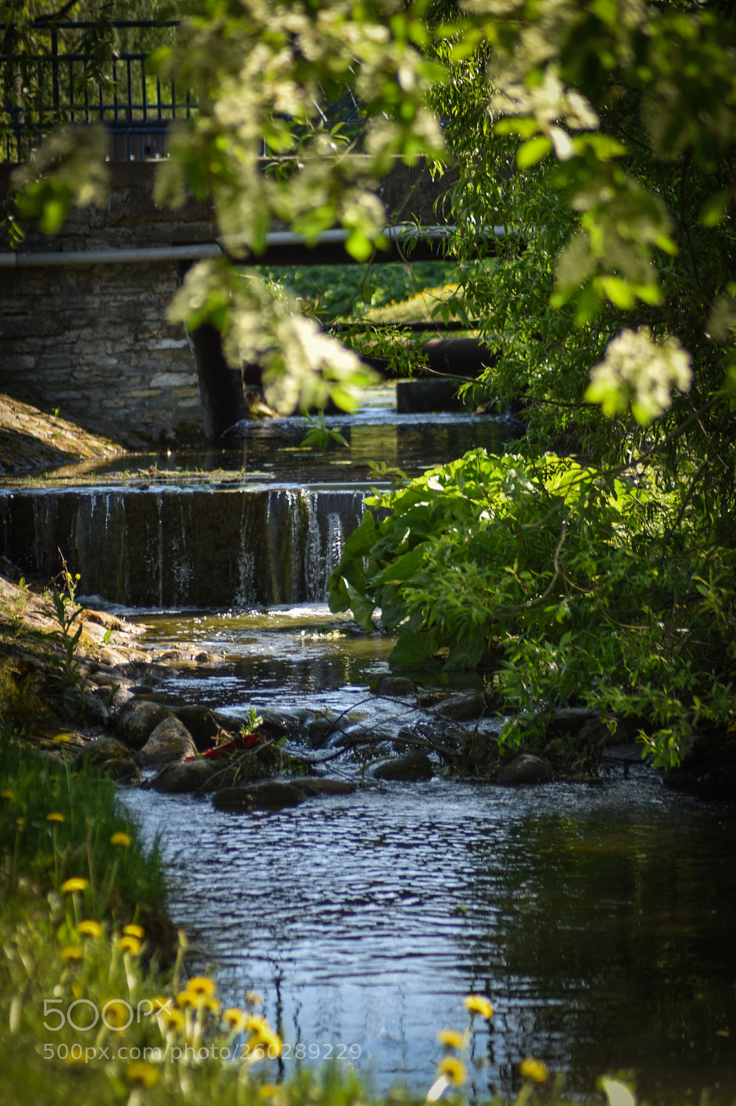 Nikon D5500 sample photo. Untitled photography