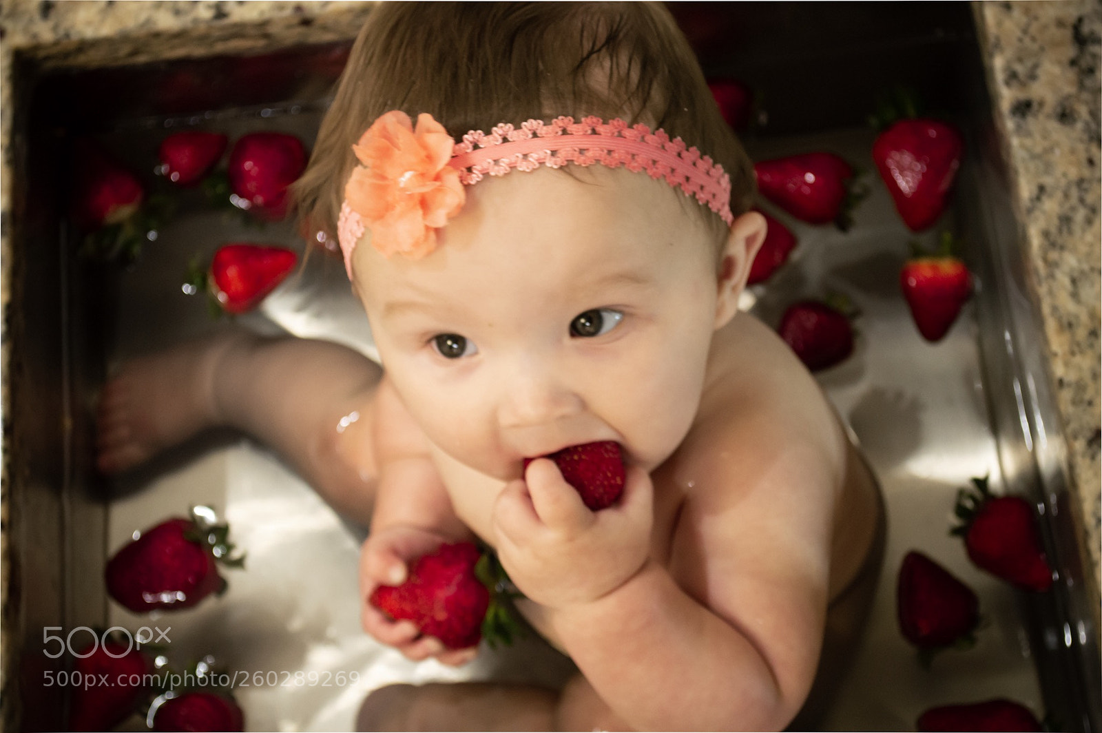 Nikon D3200 sample photo. Ccbea be cbda photography