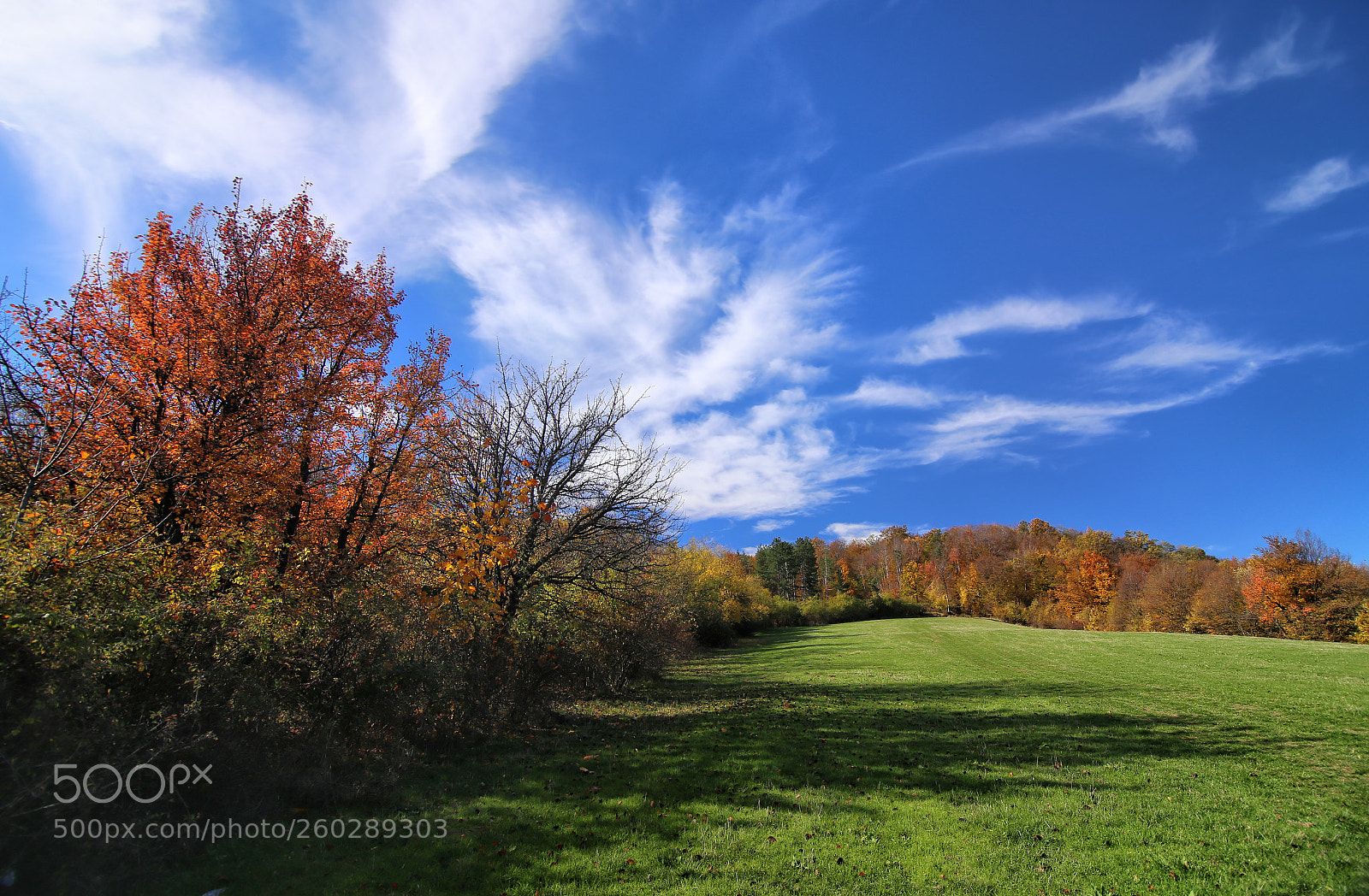 Canon EOS 6D sample photo. Autumn photography