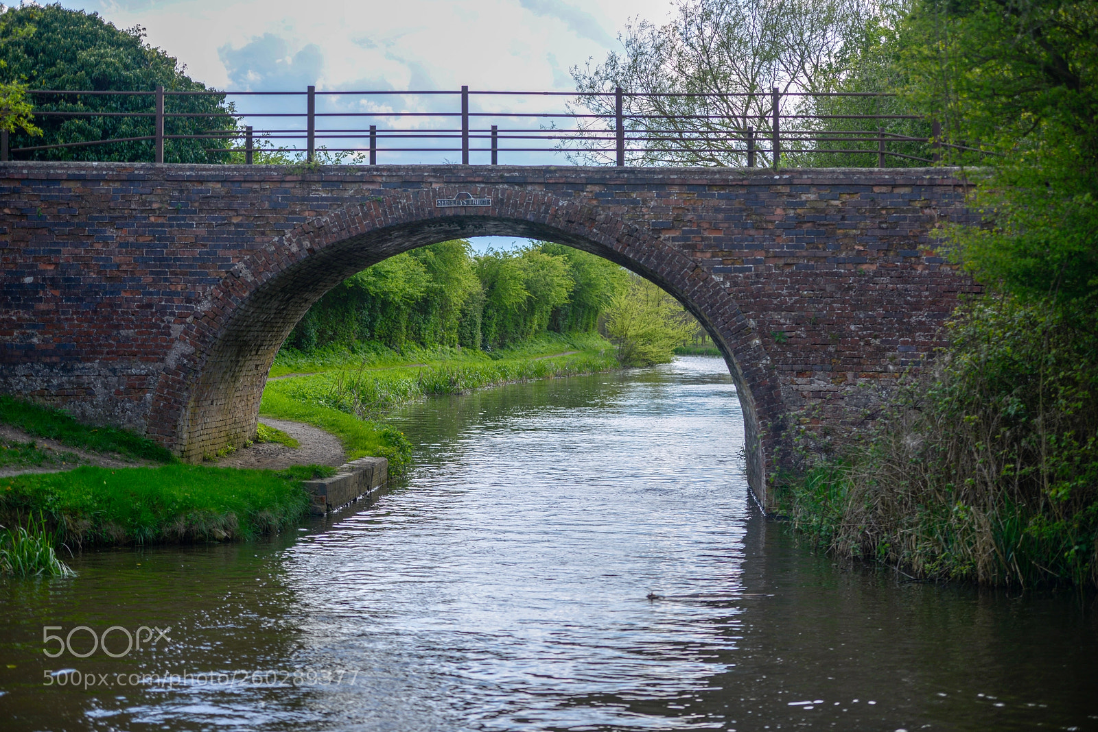 Nikon D800 sample photo. Bridge photography