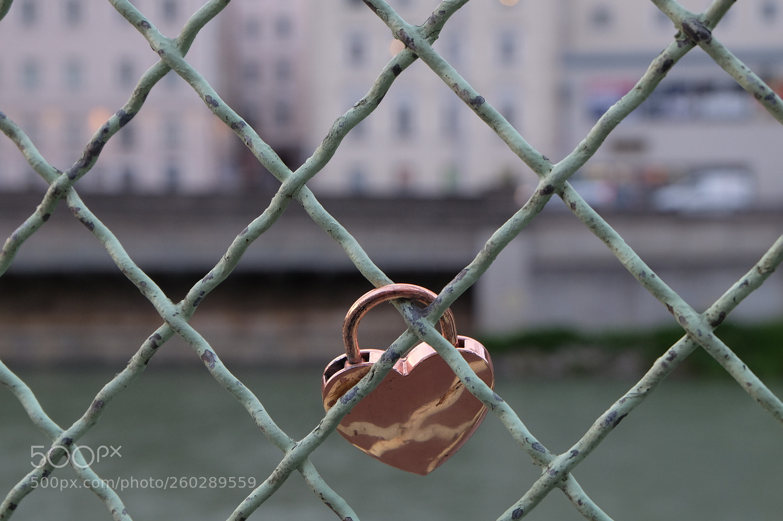 Fujifilm X-E2 sample photo. Love photography
