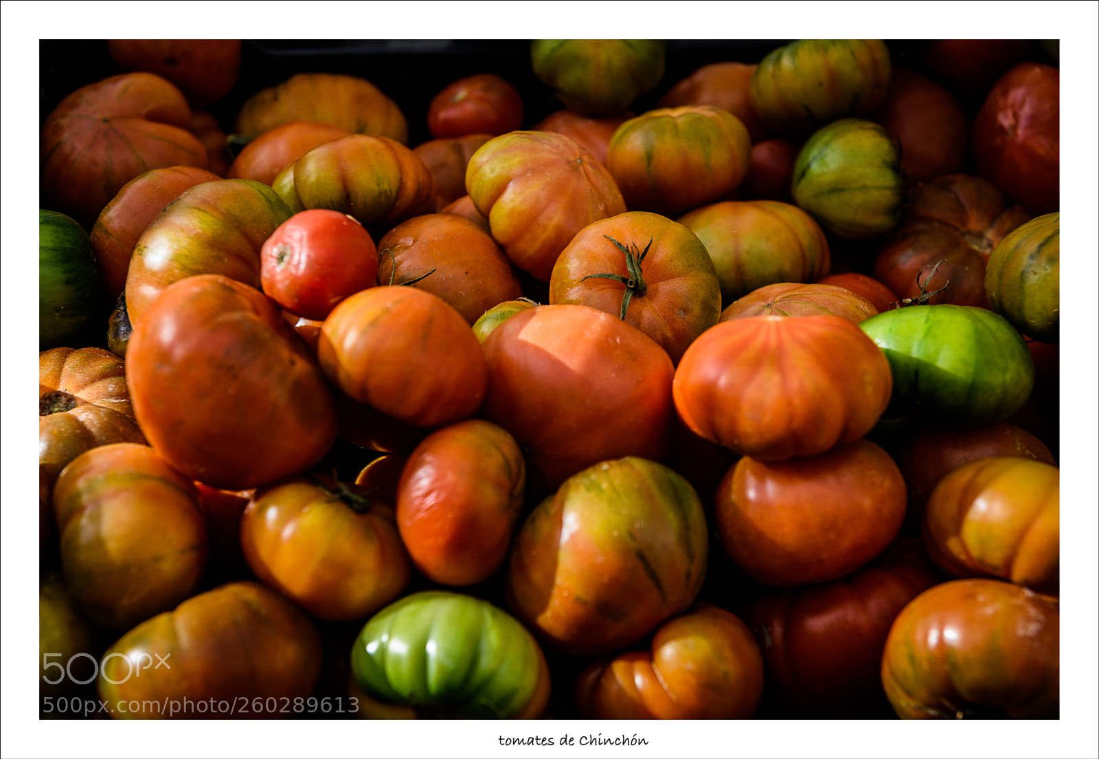 Nikon D810 sample photo. Tomates de chinchón photography